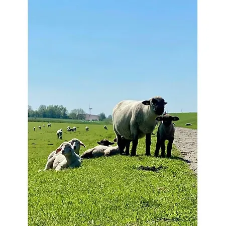 Osterloog-norddeich * Norddeich (Norden)